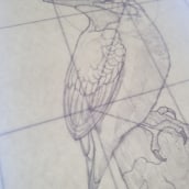 King fisher. Traditional illustration project by humberto velez hernandez - 08.19.2021