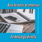 Base de datos de empresas. Design, Marketing, and Mobile Marketing project by Pablo Cirre - 08.24.2021