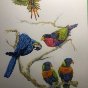 Parrots #2. Un proyecto de Bellas Artes, Pintura a la acuarela e Ilustración naturalista				 de John Keselyak - 25.08.2021