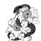 Serpiente japonesa en balckwork. Un proyecto de Ilustración tradicional, Ilustración digital y Diseño de tatuajes de carlosziadaliyassin - 30.08.2021