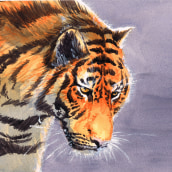 Tiger I. Traditional illustration, and Watercolor Painting project by Miguel A. Guzmán - 08.28.2021
