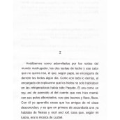 Libro Al Otro Lado de la Vida. Writing project by Olney Goin - 09.19.2021