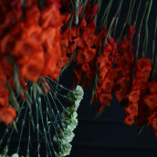 Instalación colgante. Installations, Photograph, Floral, and Plant Design project by Savia Bruta Flower School - 11.11.2021