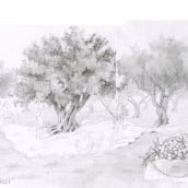 8-year-old kids harvesting olives. Un proyecto de Ilustración tradicional, Bellas Artes, Bocetado, Dibujo a lápiz, Dibujo, Dibujo artístico y Dibujo anatómico de velhadaldeia - 30.11.2021