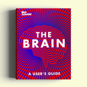 The Brain: A user's guide. Un proyecto de Diseño, Ilustración, Diseño editorial, Diseño gráfico, Diseño de la información e Infografía de Valentina D'Efilippo - 05.01.2022