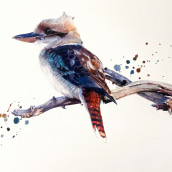 Kookaburra watercolour . Um projeto de Pintura em aquarela de Sarah Stokes - 15.01.2022