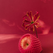 Fruit Still Life. Photograph project by Victoria Jane - 01.29.2022