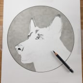 German Shepherd. Desenho com lápis de cor projeto de Lee Billingham - 31.01.2022