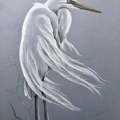 Birds Drawings. Un proyecto de Ilustración tradicional, Bellas Artes, Pintura y Bocetado de Helena Michel - 03.02.2022