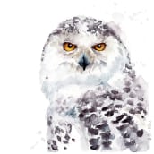 Greifvögel und Eulen_birds of prey and owls. Un proyecto de Pintura a la acuarela de Tina Ritter - 06.03.2022