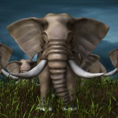 Elefante Africano. Un proyecto de 3D, Diseño de personajes, Escultura, Modelado 3D y Diseño 3D de Laura Innes - 26.12.2021