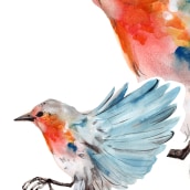 Proyecto personal de ilustración. Pájaros . Un proyecto de Ilustración de Laura Bustos - 11.04.2022
