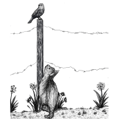 Bird Watching Ein Projekt aus dem Bereich Traditionelle Illustration, Zeichnung, Digitale Illustration und Digitale Zeichnung von Shannon Carter - 19.04.2022