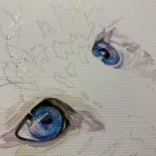 Olhos - estudo curso Sarah Strokes. Watercolor Painting project by Cristina Caggiano C - 05.17.2022