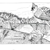 My project for course: Dip Pen and Ink Illustration: Capturing The Natural World. Sketching, Drawing, Artistic Drawing, Sketchbook, Ink Illustration, and Naturalistic Illustration project by loraxman - 06.25.2022