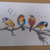 Meu projeto do curso: Técnicas expressivas de aquarela para ilustração de pássaros. Un proyecto de Ilustración tradicional, Pintura a la acuarela, Dibujo realista e Ilustración naturalista				 de Esther Alcântara - 04.07.2022