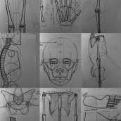 Dibujo anatómico para principiantes. Un proyecto de Bellas Artes, Bocetado, Dibujo a lápiz, Dibujo, Dibujo realista y Dibujo anatómico de Beberlly Huayta - 01.08.2022