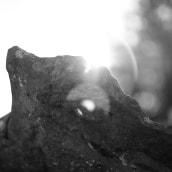 Pedra en sec. Fotografia projeto de Arturo Prades - 20.08.2022