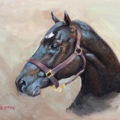 Caballo negro. Óleo sobre lienzo.. Fine Arts, Painting, and Oil Painting project by Alonso Palomino - 09.07.2022