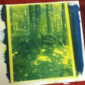 My project for course: Gum Bichromate: Alternative Photo Printing. Arts, Crafts, Fine Arts, Printing, DIY, and Film Photograph project by Lise Vézina - 10.11.2022