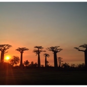 Mi proyecto del curso: Fotografía de viajes con smartphone para principiantes: Madagascar. Un progetto di Fotografia con smartphone, Fotografia all'aperto e Fotografia per Instagram di Jaime Pérdigo Corbella - 17.10.2022