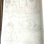 Mon projet du cours : Illustration d’animaux : représentez la faune sur un sketchbook. Ilustração tradicional, Colagem, Sketchbook e Ilustração naturalista projeto de Anita Ede - 29.10.2022