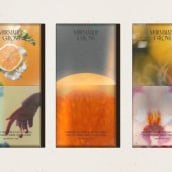 Marmalade Grove . Design, Advertising, Art Direction, Br, ing, Identit, and Packaging project by Parámetro - 11.16.2022