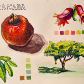 Mi proyecto del curso: Cuaderno botánico en acuarela. Un proyecto de Pintura a la acuarela e Ilustración botánica de Mercè Ramon - 21.10.2022