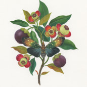 Insects & Foliage . Un proyecto de Ilustración, Pintura a la acuarela, Ilustración botánica y Pintura gouache de Georgina Taylor - 07.12.2022