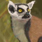 Lemur - Digital Painting. Un proyecto de Ilustración tradicional de Filipe Patrocínio - 18.12.2022