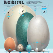 Compilação de visualização de dados. Design, Editorial Design & Infographics project by Thales Molina - 01.04.2023