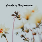 Quando as flores morrem. Writing, Stor, telling, Narrative, Fiction Writing, and Creative Writing project by Filipa Lopes - 02.09.2023