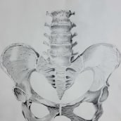 Mi proyecto del curso: Dibujo anatómico con lápiz de grafito para principiantes. Un projet de Beaux Arts, Dessin au cra, on, Dessin, Dessin réaliste , et Dessin anatomique de Krla Guti - 18.02.2023