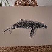 Mi proyecto del curso: Técnicas de ilustración naturalista: ballenas en acuarela. Artes plásticas, Pintura, Pintura em aquarela e Ilustração naturalista projeto de artic - 27.02.2023