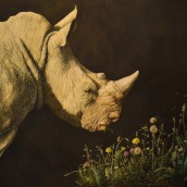Exotic Animals - Oil Painting. Brush Painting project by Valentina Grilli - 03.19.2023