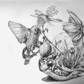 My project for course: Naturalist Illustration with Ballpoint Pen . Un proyecto de Ilustración tradicional, Dibujo, Dibujo realista e Ilustración naturalista				 de senzaspazio - 02.04.2023