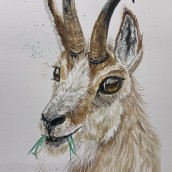 My little sassy goat. Traditional illustration, Fine Arts, Painting, Creativit, Drawing, Watercolor Painting, Realistic Drawing, and Naturalistic Illustration project by Carol Pinango - 05.03.2023