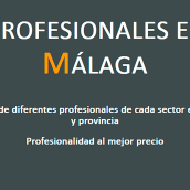 Profesionales en Málaga. Un proyecto de Diseño Web y Desarrollo Web de Borja Guerrero - 26.05.2023