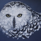 Study for inner spirit of Snowy Owl: Human eyes contained in Owl persona.. Un progetto di Illustrazione tradizionale, Belle arti, Creatività, Disegno a matita, Disegno e Disegno artistico di winsome - 10.06.2023