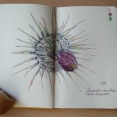 Mi proyecto del curso: Cuaderno botánico en acuarela. Traditional illustration, Watercolor Painting, Botanical Illustration, and Sketchbook project by Mayte Sánchez Sempere - 06.22.2023