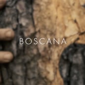 BOSCANA. Un progetto di Cinema, video e TV e Video di Joan Cabotti - 27.06.2023
