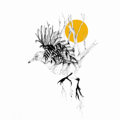 Mi proyecto del curso: Ilustración realista de pájaros con elementos creativos. Pencil Drawing, Drawing, Ink Illustration, and Naturalistic Illustration project by Ainhoa Aramburu Urruzola - 07.17.2023