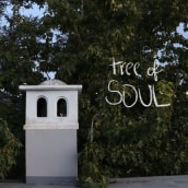 tree of my soul. Un proyecto de Fotografía, Fotografía digital y Composición fotográfica de valeriafa8 - 17.07.2023