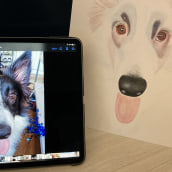 Mi proyecto del curso: Retratos de Mascotas en Lápices de Colores. Un proyecto de Ilustración tradicional, Ilustración de retrato e Ilustración naturalista				 de Jennifer Spencer - 10.08.2023
