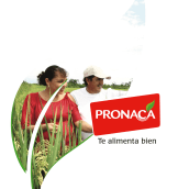 PRONACA presentación. Un proyecto de Diseño, Br, ing e Identidad y Diseño editorial de Pablo Núñez Argudo - 17.11.2022