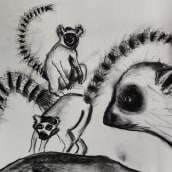 My project for course: Animal Illustration with Charcoal and Ink. Un proyecto de Bellas Artes, Dibujo, Ilustración con tinta e Ilustración naturalista				 de Barbara Manning - 06.09.2023