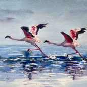 Join me in Morocco to paint flamingos 2024!. Watercolor Painting project by Sarah Stokes - 11.15.2023