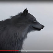 3D Grey wolf. Un proyecto de 3D y Animación de Samuel Mba - 01.11.2023
