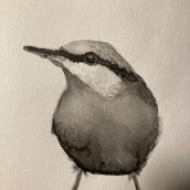 My project for course: Artistic Watercolor Techniques for Illustrating Birds. Watercolor Painting, and Sketchbook project by sis - 12.14.2023
