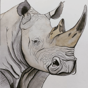 Rhino. Traditional illustration, Collage, Sketchbook, and Naturalistic Illustration project by Belén Moreno - 12.17.2023